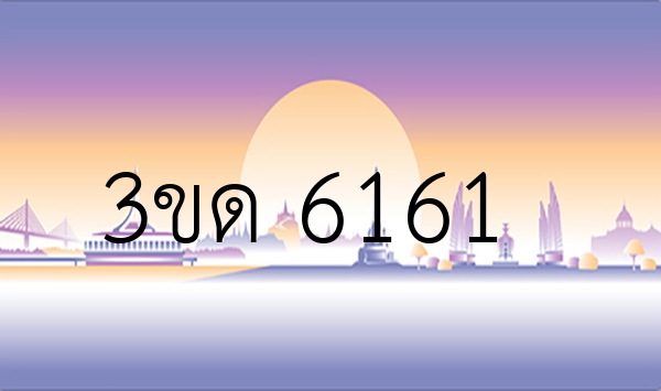 3ขด 6161